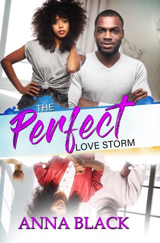 Imagen de portada: The Perfect Love Storm 9781601621023