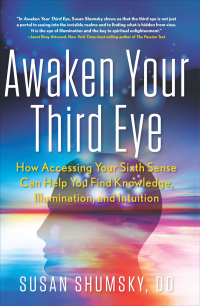 Cover image: Awaken Your Third Eye 9781601633637
