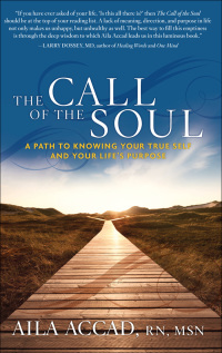 Omslagafbeelding: The Call of Soul 9781601632746
