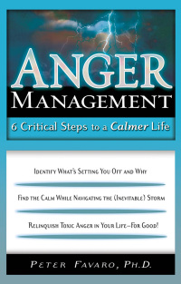 Cover image: Anger Management 9781564148346