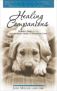 Cover image: Healing Companions 9781601630933