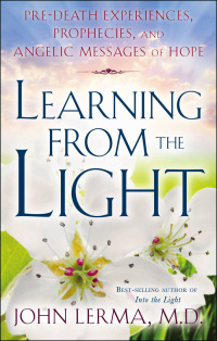 Omslagafbeelding: Learning from the Light 9781601630698