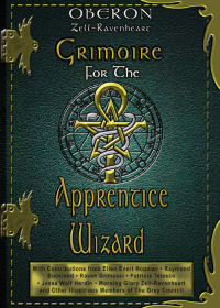 صورة الغلاف: Grimoire For The Apprentice Wizard 9781564147110