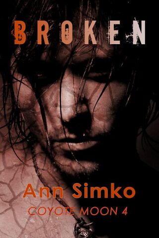 Cover image: Broken