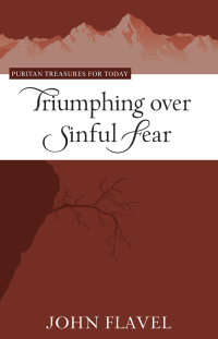 Cover image: Triumphing over Sinful Fear 9781601781321