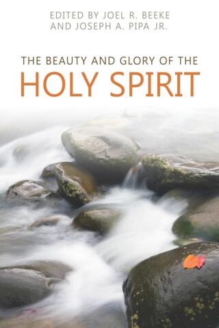 Cover image: The Beauty and Glory of the Holy Spirit 9781601785831