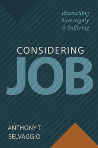 Cover image: Considering Job 9781601788368