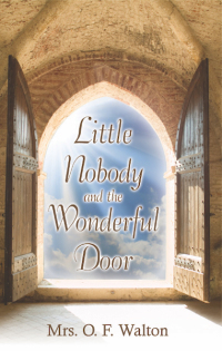 Cover image: The Little Nobody and the Wonderful Door 9781601788979