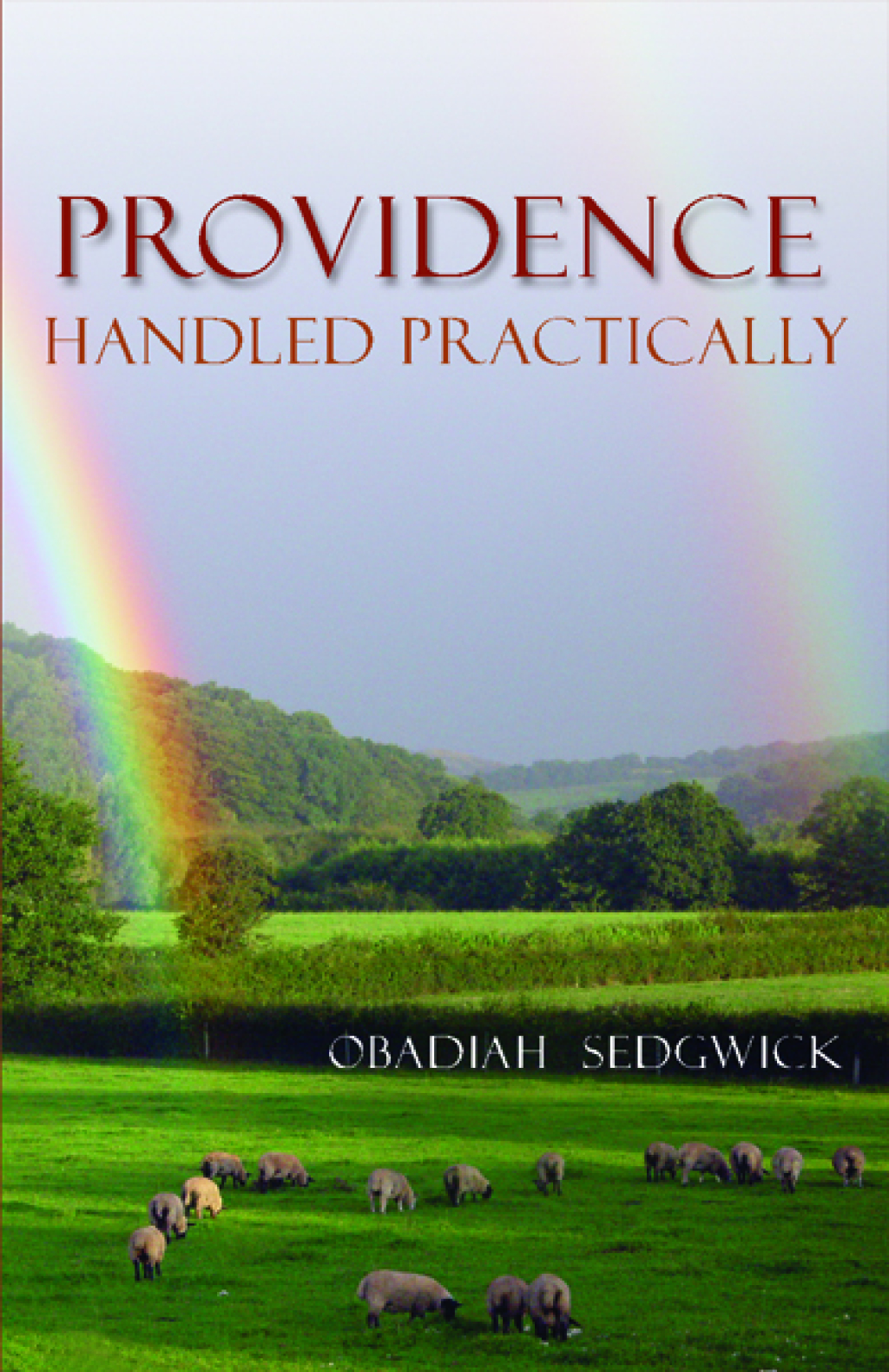 Providence Handled Practically (eBook)