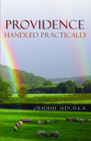 Imagen de portada: Providence Handled Practically 9781601788993