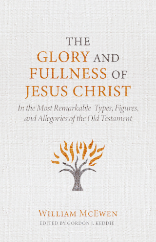 Cover image: The Glory and Fullness of Jesus Christ 9781601789396