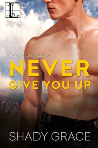 Imagen de portada: Never Give You Up 9781601837257