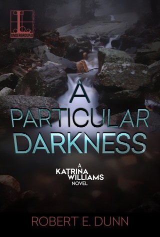 Imagen de portada: A Particular Darkness 9781601838094