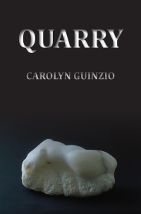 Imagen de portada: Quarry 9781602350854