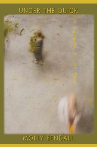 Cover image: Under the Quick 9781602351219