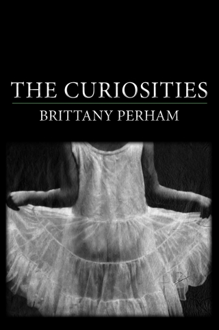 Cover image: Curiosities, The 9781602352391