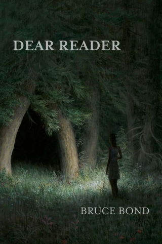 Imagen de portada: Dear Reader 9781602352803