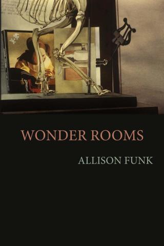 Imagen de portada: Wonder Rooms 9781602356184