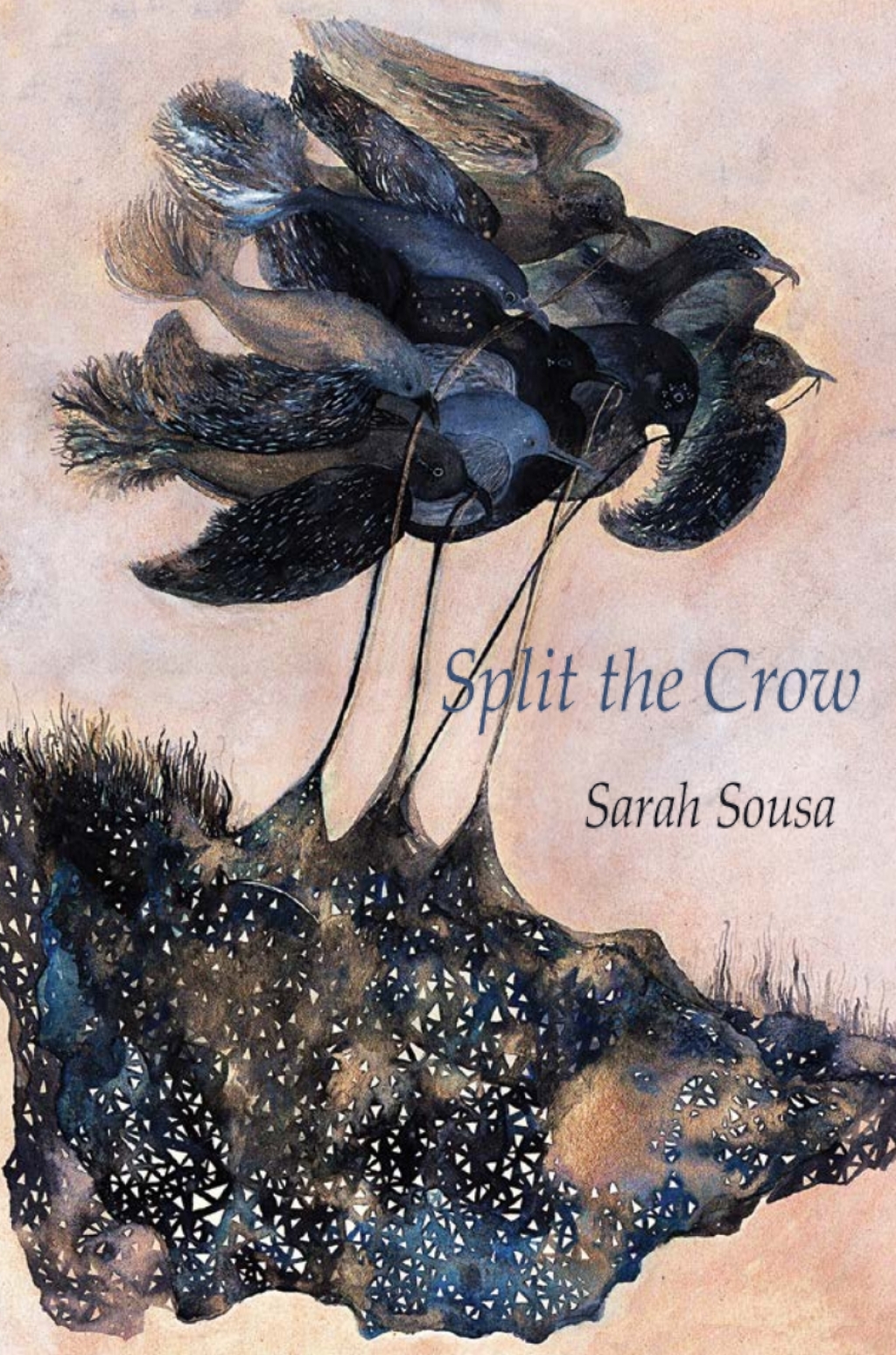Split the Crow (eBook)