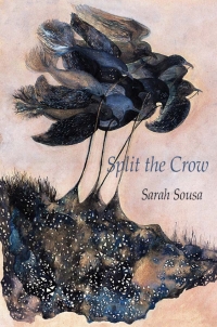 Imagen de portada: Split the Crow 9781602356351