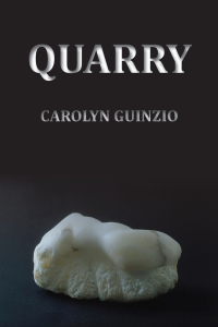 Cover image: Quarry 9781602350854