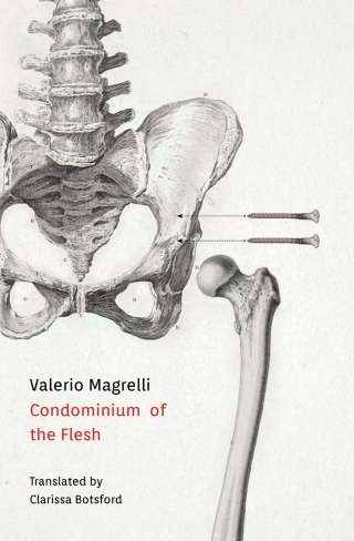 Cover image: Condominium of the Flesh 9781602357488