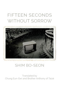 Cover image: Fifteen Seconds without Sorrow 9781602358355