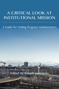 Cover image: Critical Look at Institutional Mission, A 9781602358409