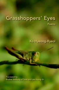 表紙画像: Grasshoppers' Eyes 9781602359420