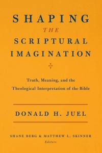 صورة الغلاف: Shaping the Scriptural Imagination 9781602583818