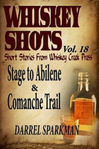 Cover image: Whiskey Shots