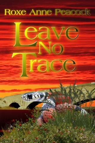 Cover image: Leave No Trace 9781611600711
