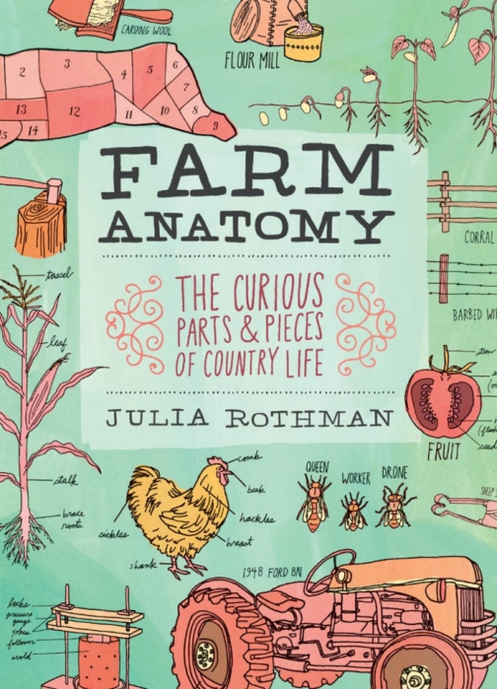 Farm Anatomy The Curious Parts and Pieces of Country Life