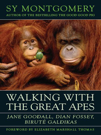 Omslagafbeelding: Walking with the Great Apes 9781603580625