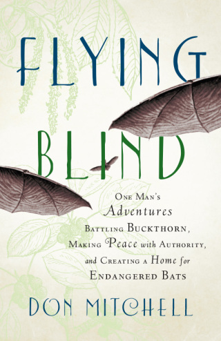 Cover image: Flying Blind 9781603585200