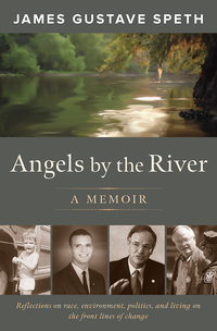 Cover image: Angels by the River 9781603586320