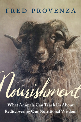 Cover image: Nourishment 9781603588027