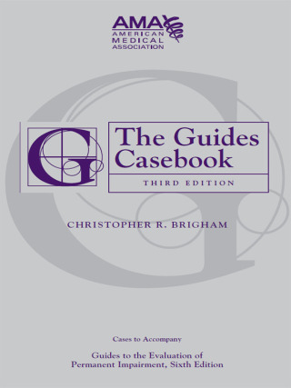 Cover image: The Guides Casebook, Third Edition: Cases to Accompany the Guides Sixth Edition 9781579478902