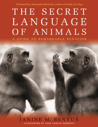 Cover image: Secret Language of Animals 9781579129682