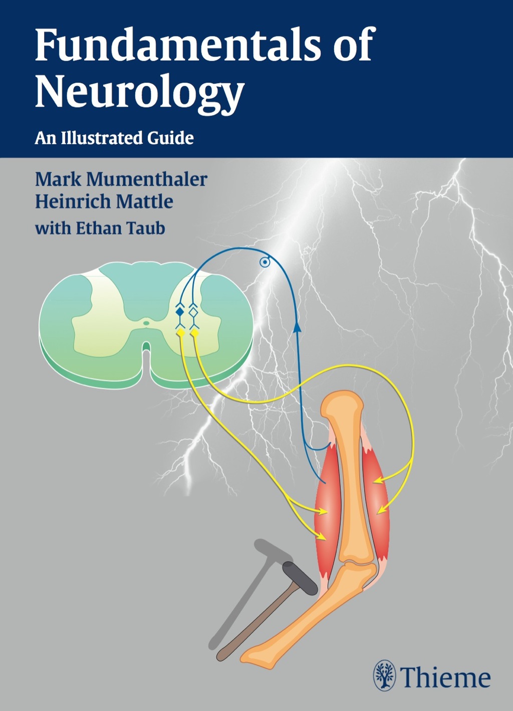 Fundamentals of Neurology An Illustrated Guide 1st Edition