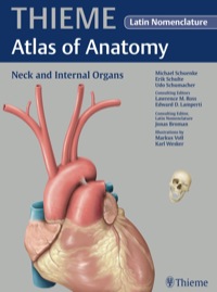 Immagine di copertina: Neck and Internal Organs (THIEME Atlas of Anatomy) 1st edition 9781604062892