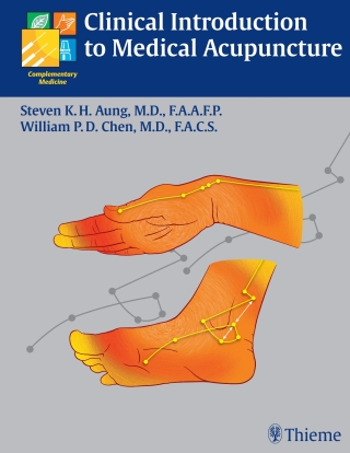 Imagen de portada: Clinical Introduction to Medical Acupuncture 1st edition 9781588902214