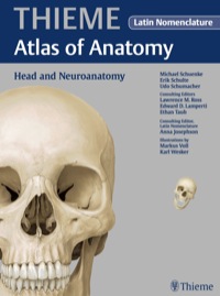 Immagine di copertina: Head and Neuroanatomy - Latin Nomencl. (THIEME Atlas of Anatomy) 1st edition 9781604066364