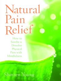 Cover image: Natural Pain Relief 9781604070880