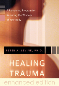 Cover image: Healing Trauma 9781591796589
