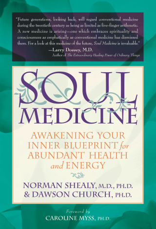 Omslagafbeelding: Soul Medicine 9781604150100