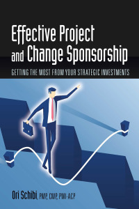 Imagen de portada: Effective Project and Change Sponsorship 1st edition 9781604271744