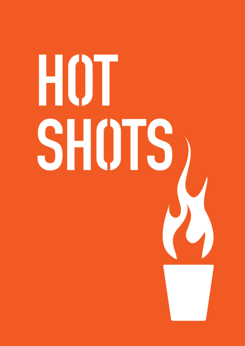 Hot Shots - FULL INSTANT DOWNLOAD | PDF DOCX EPUB