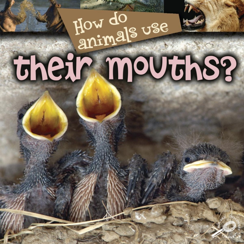 How Do Animals Use… Their Mouths?