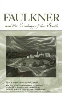 Omslagafbeelding: Faulkner and the Ecology of the South 9781934110973
